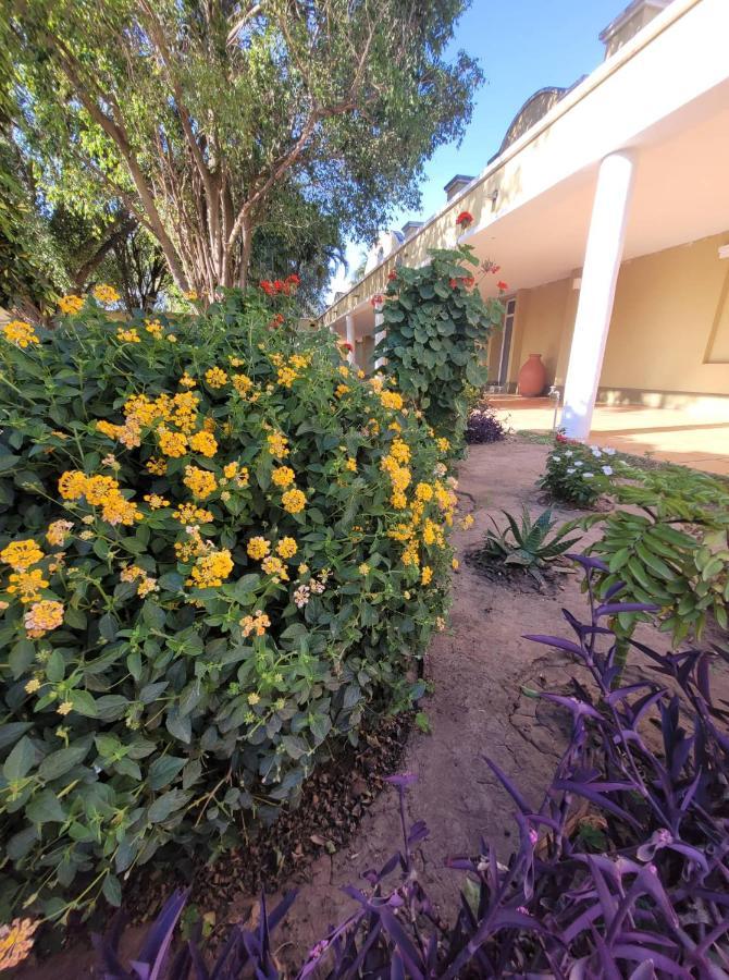 Hotel Portico Norte Tartagal Dış mekan fotoğraf